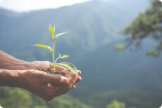 iATTGreen launches WasteGreen – The first organic waste smart electric composter in Vietnam